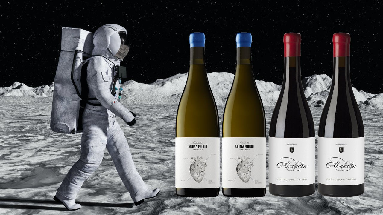 pack de vino blanco y tinto el astronauta